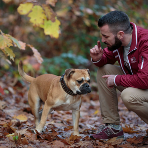 Benny Und Pebbles 07